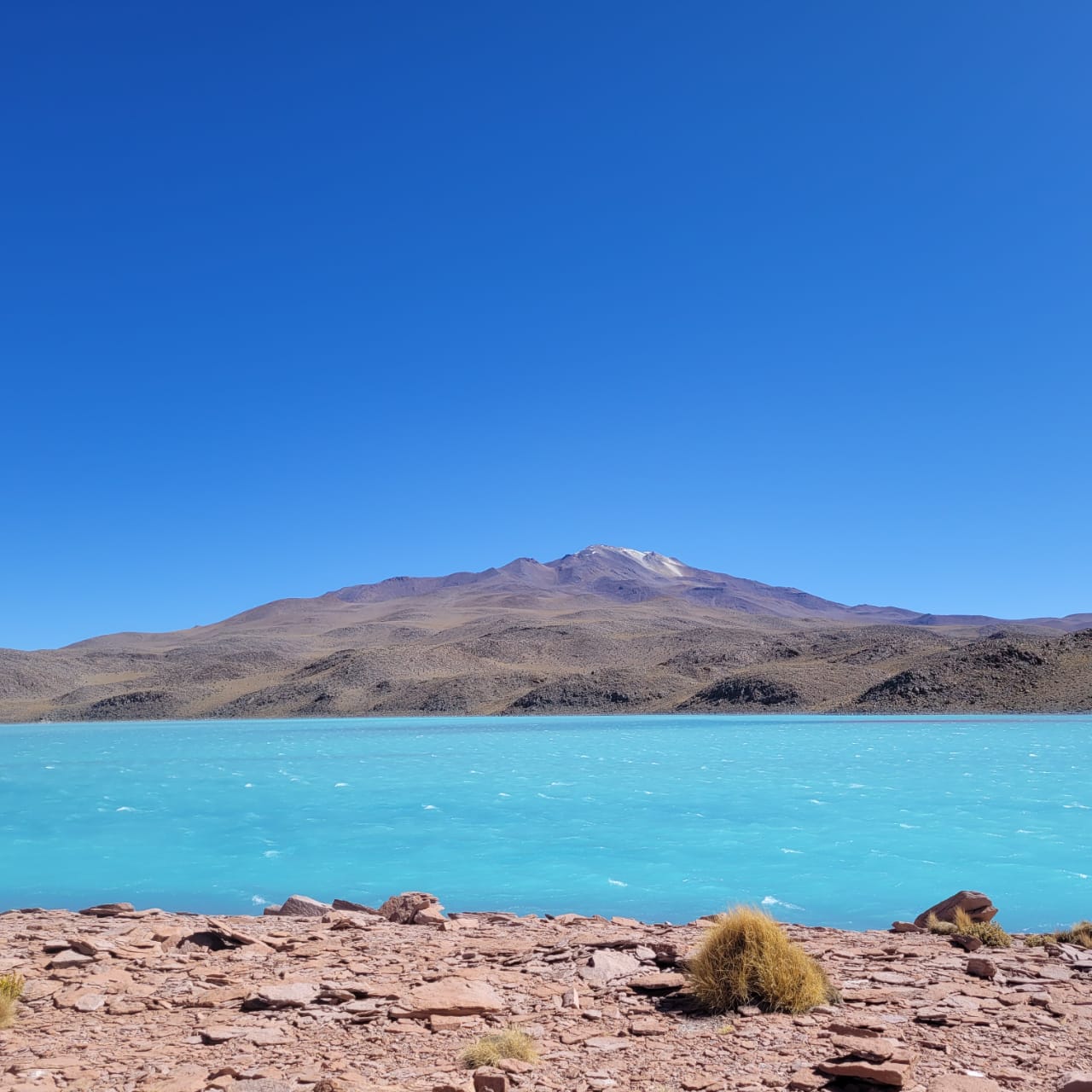 Geysers del Tatio